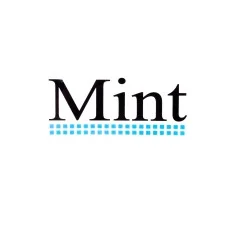 Наклейки (набір) MINT (13х5.5см) (#1264)