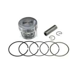 Поршень Delta 70 .STD (Ø47,00) SUNY (mod.B)